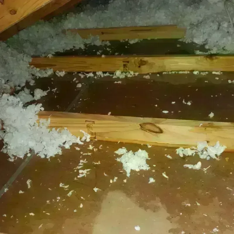 Attic Water Damage in Silver Lakes, CA