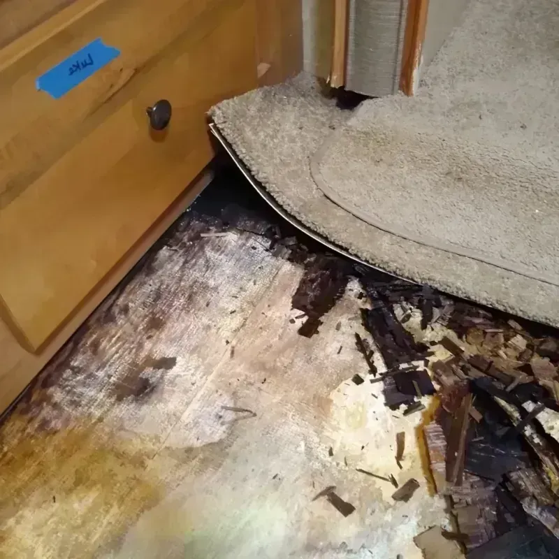 Wood Floor Water Damage in Silver Lakes, CA